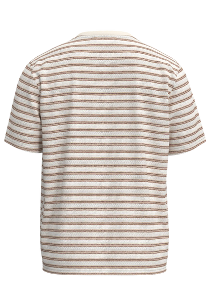Kevin Striped Rose Dawn