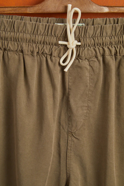 Dogtown Shorts Olive