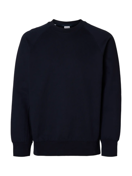 Aron Raglan Crew Sky Captain