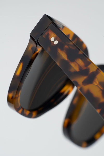 Ellis Havana Grey Solid Lens